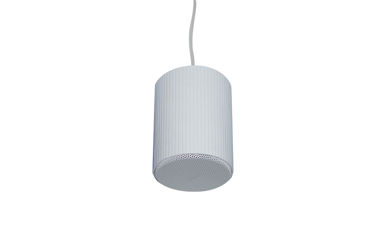Pendant Speaker PSK-20A