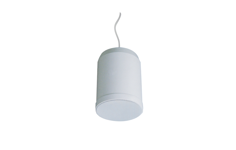 Pendant Speaker PSK-20P