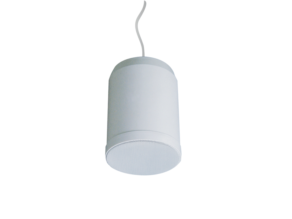Pendant Speaker PSK-20P